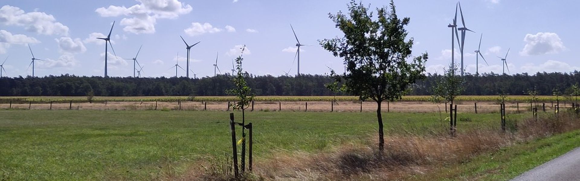 Erneuerbare Enegien