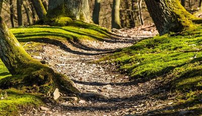 Wanderwege Wanderwege