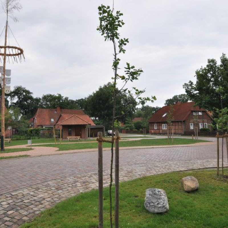 Leben In Buchholz Und Marklendorf 041