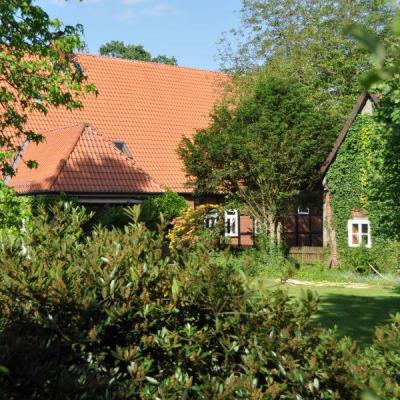 Leben In Buchholz Und Marklendorf 061