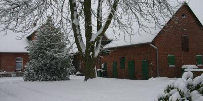 Leben In Buchholz Und Marklendorf Bild 14