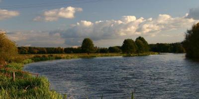 Buchholzer Impressionen Bild 04