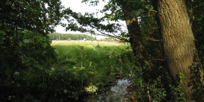 Buchholzer Impressionen Bild 10