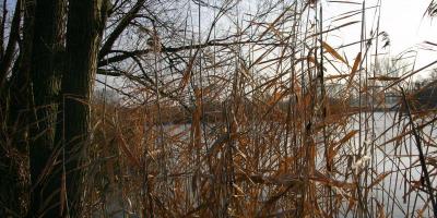 Buchholzer Impressionen Bild 12