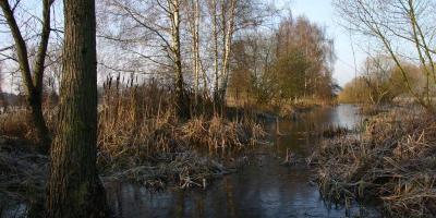 Buchholzer Impressionen Bild 13