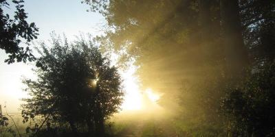 Buchholzer Impressionen Bild 16