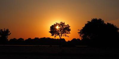 Buchholzer Impressionen Bild 22