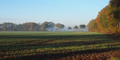 Buchholzer Impressionen Bild 27