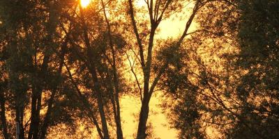 Buchholzer Impressionen Bild 30
