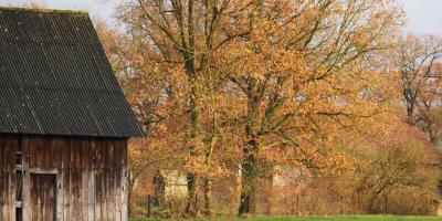 Buchholzer Impressionen Bild 31